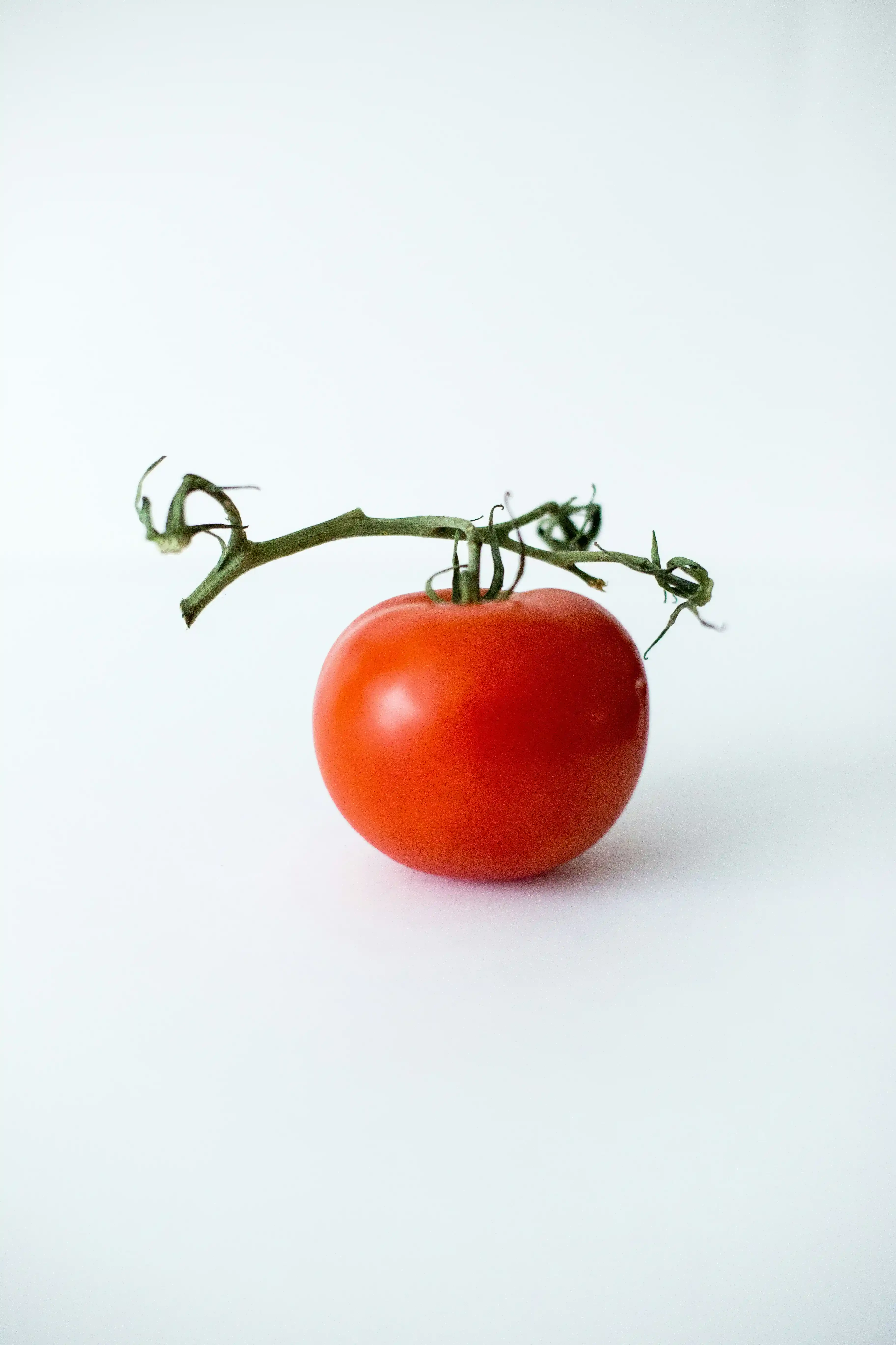 Tomato for babies: how to serve for baby-led weaning